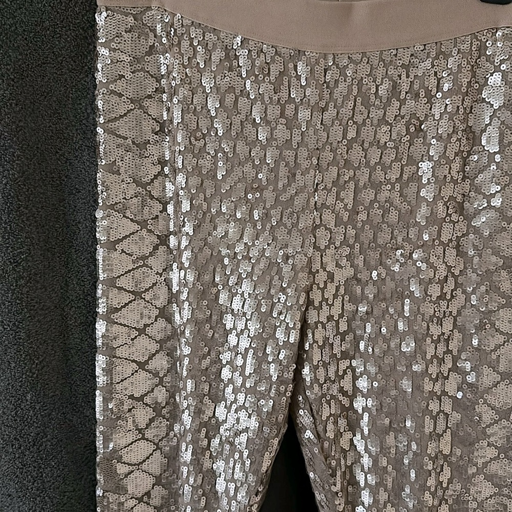 Sequin pants